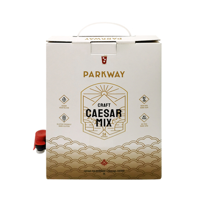 1L 1,5L 2L 3L 5L 96OZ BIB BAG одноразовый пакет в коробке Чай сок кофе для езды бумажная коробка с диспенсером