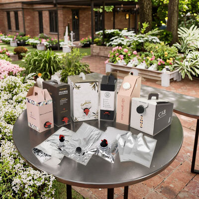 Индивидуальные BIB-мешки в коробке с краном-носиком, идеально подходящие для упаковки вина, сока, масла и других жидких продуктов