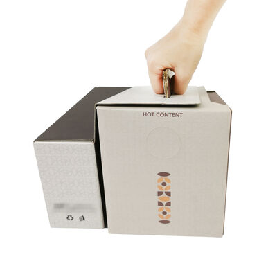 Customized BIB bags in Box made from eco friendly materials ensuring safe packaging and extended shelf life for liquids
