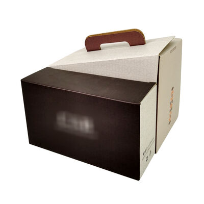 Customized Bag In Box Packaging Solutions Plastic Durable Leak Resistant Container for Liquid Storage and Transport